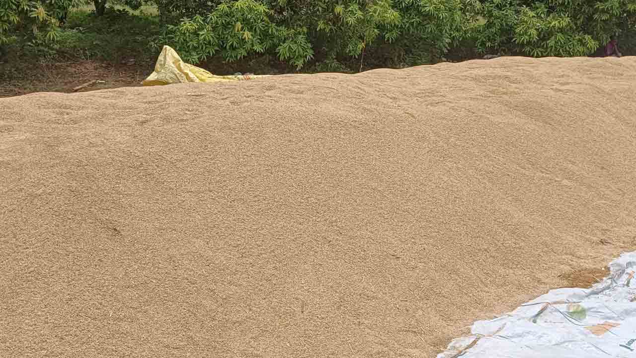 సన్నాలు కొనండి మహాప్రభో… తుంగతుర్తి మండలంలో సన్నాల కొనుగోళ్లు కరువు