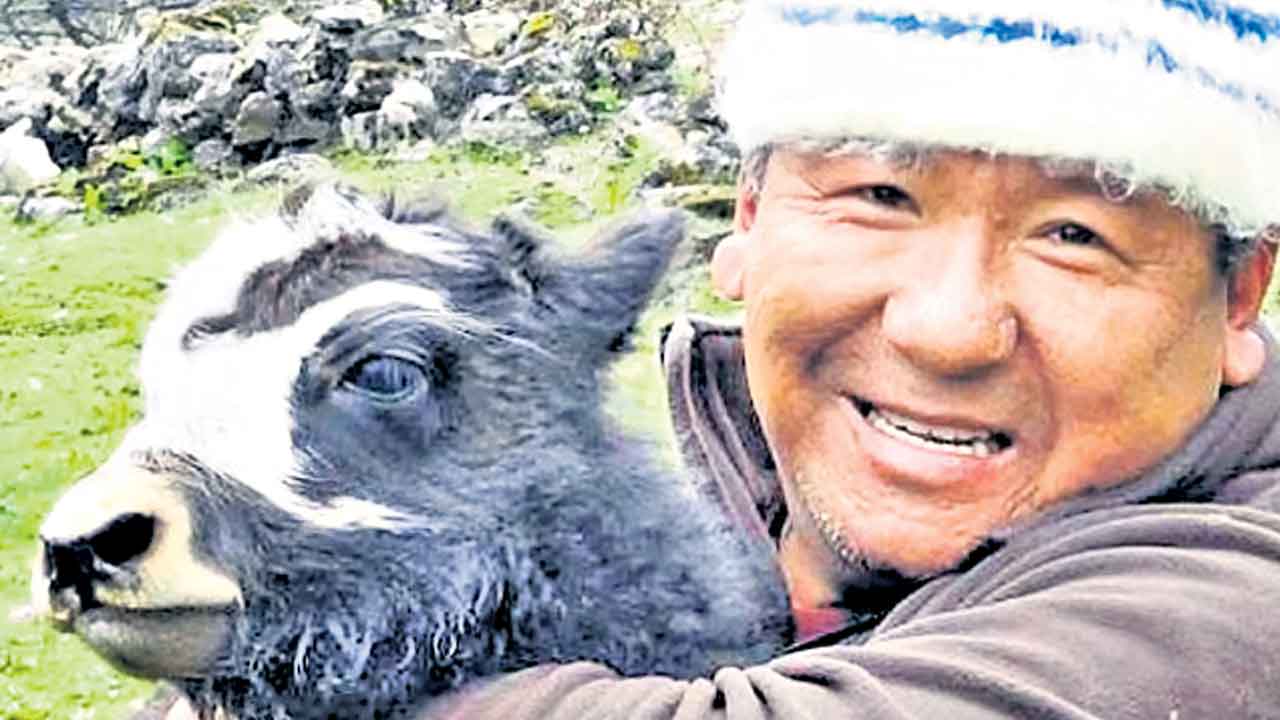 జడలబర్రెల రక్షకుడు