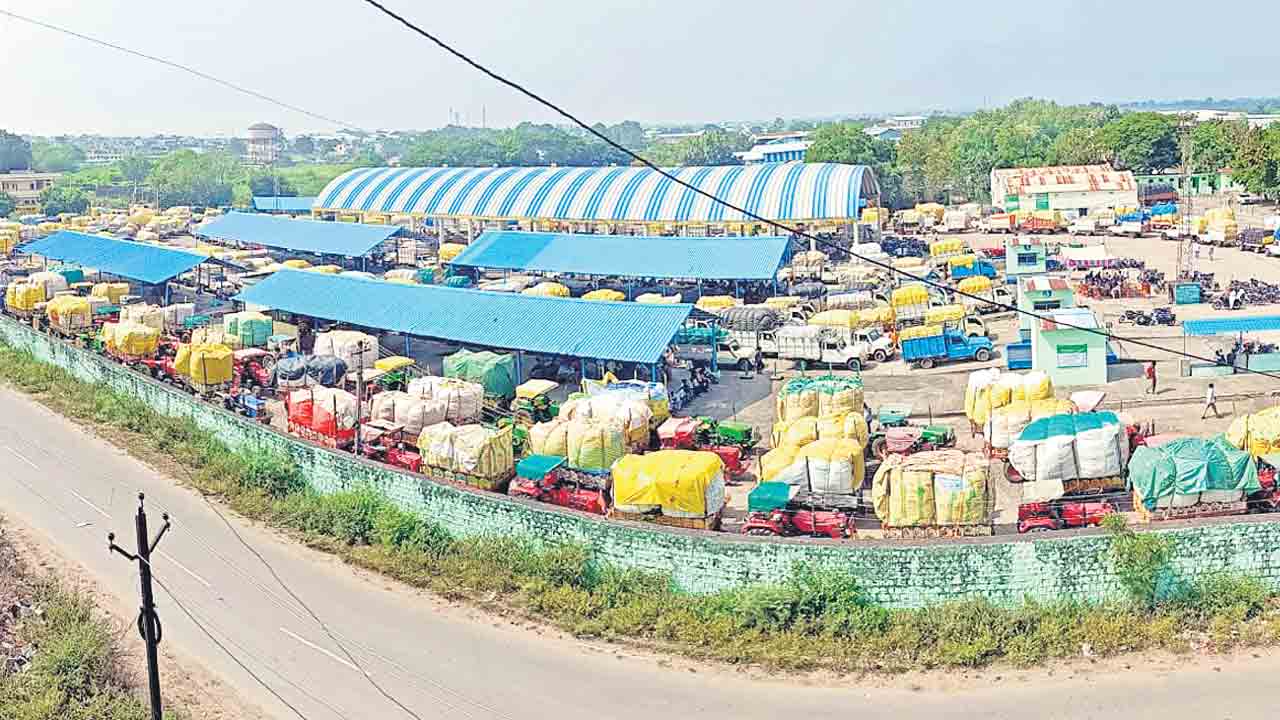 పెరిగిన మద్దతు లభించేనా?