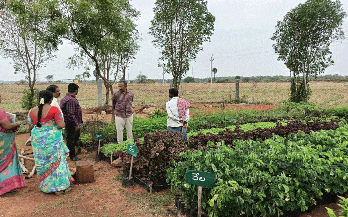 Nereducherla : మొక్కల పెంపకంలో నిర్లక్ష్యం వహిస్తే చర్యలు : జడ్పీ సీఈఓ అప్పారావు