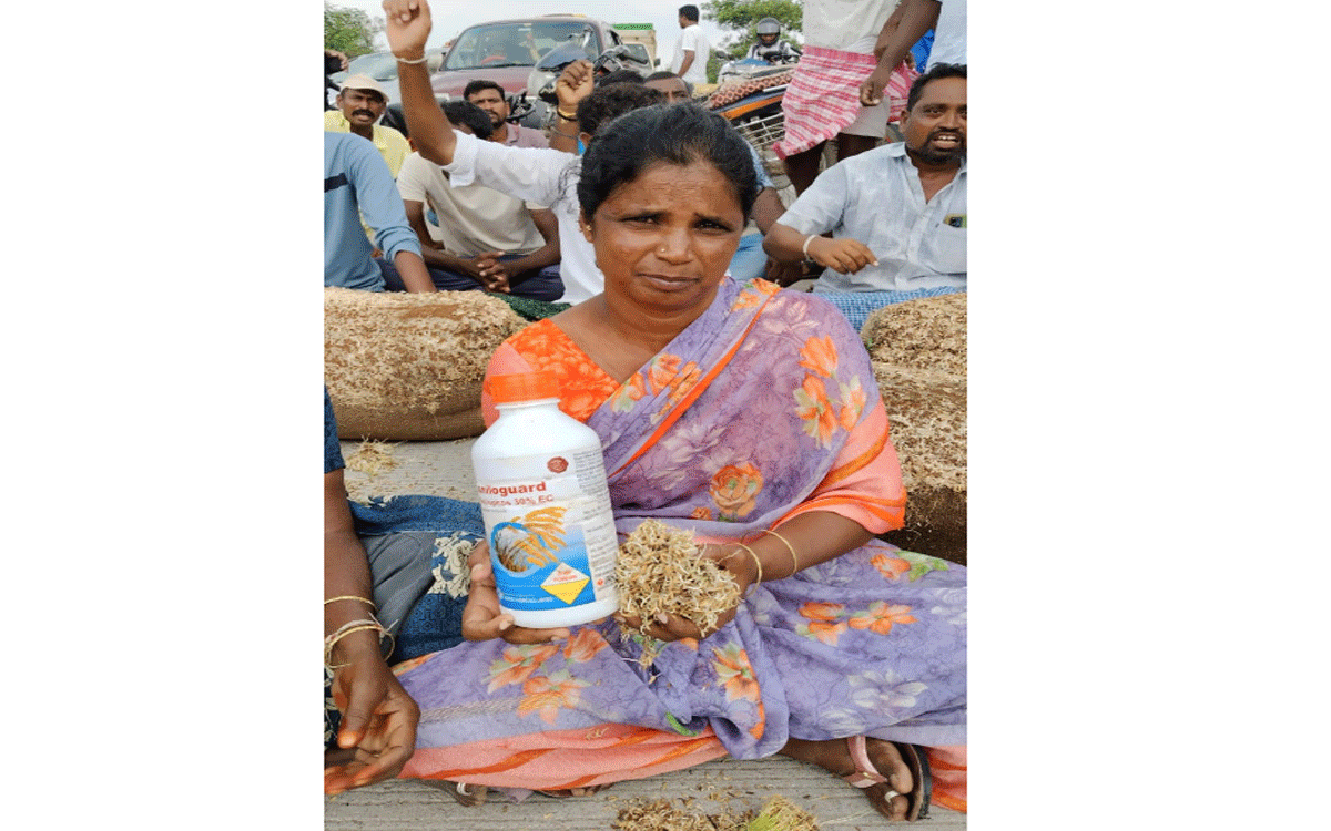 Arvapally : మొలకెత్తిన ధాన్యంతో రోడ్డెక్కిన రైతన్న