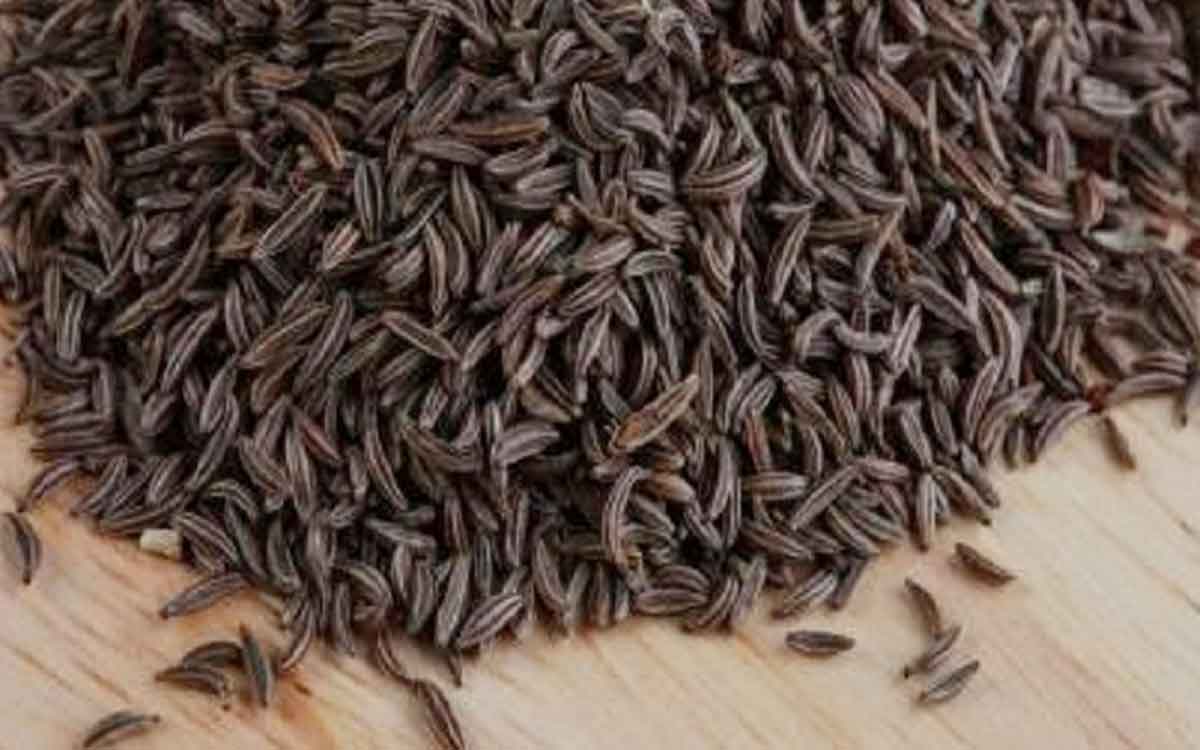Black Cumin | నల్ల జీలకర్రను వాడుతున్నారా.. లేదా.. అనేక లాభాలను కోల్పోతారు..!
