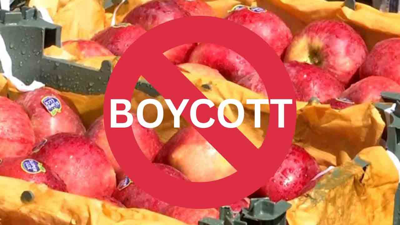 Boycott Turkey | విస్తరించిన బాయ్‌కాట్‌ తుర్కియే.. జాబితాలోకి వివాహాలు, దుస్తులు
