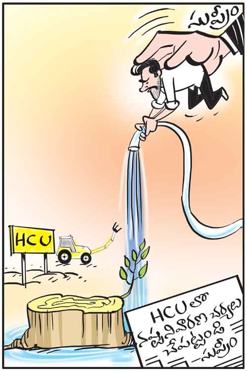 Cartoon