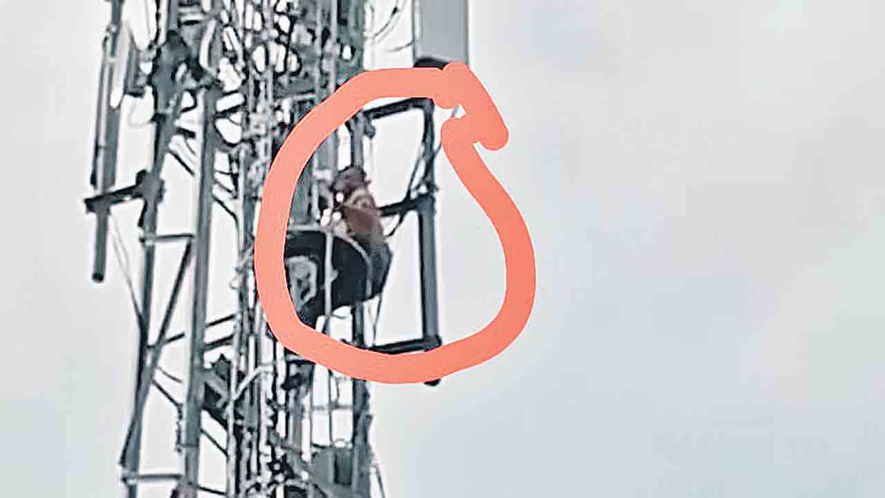 ‘ఇందిరమ్మ’ ఇండ్ల జాబితాలోపేరు కట్‌ !