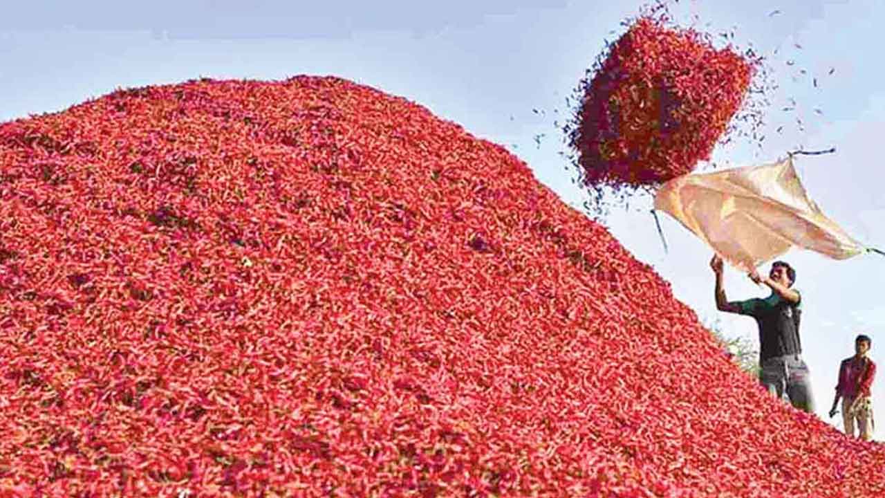 మిర్చి క్వింటాల్‌కు రూ.10,374 ధర.. ఎంఐఎస్‌ కింద నిర్ణయించిన కేంద్రం