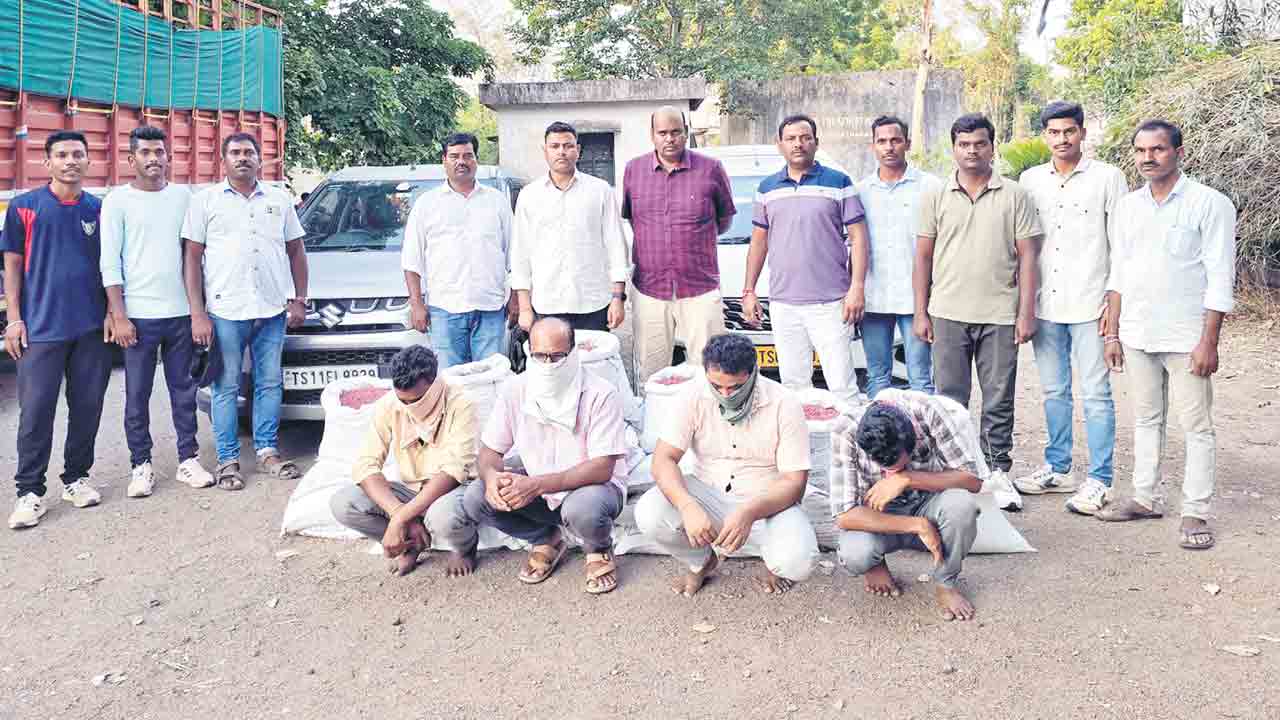 ఆంధ్రా టూ ఆసిఫాబాద్‌.. జిల్లాలో జోరుగా నకిలీ పత్తి విత్తనాల దందా