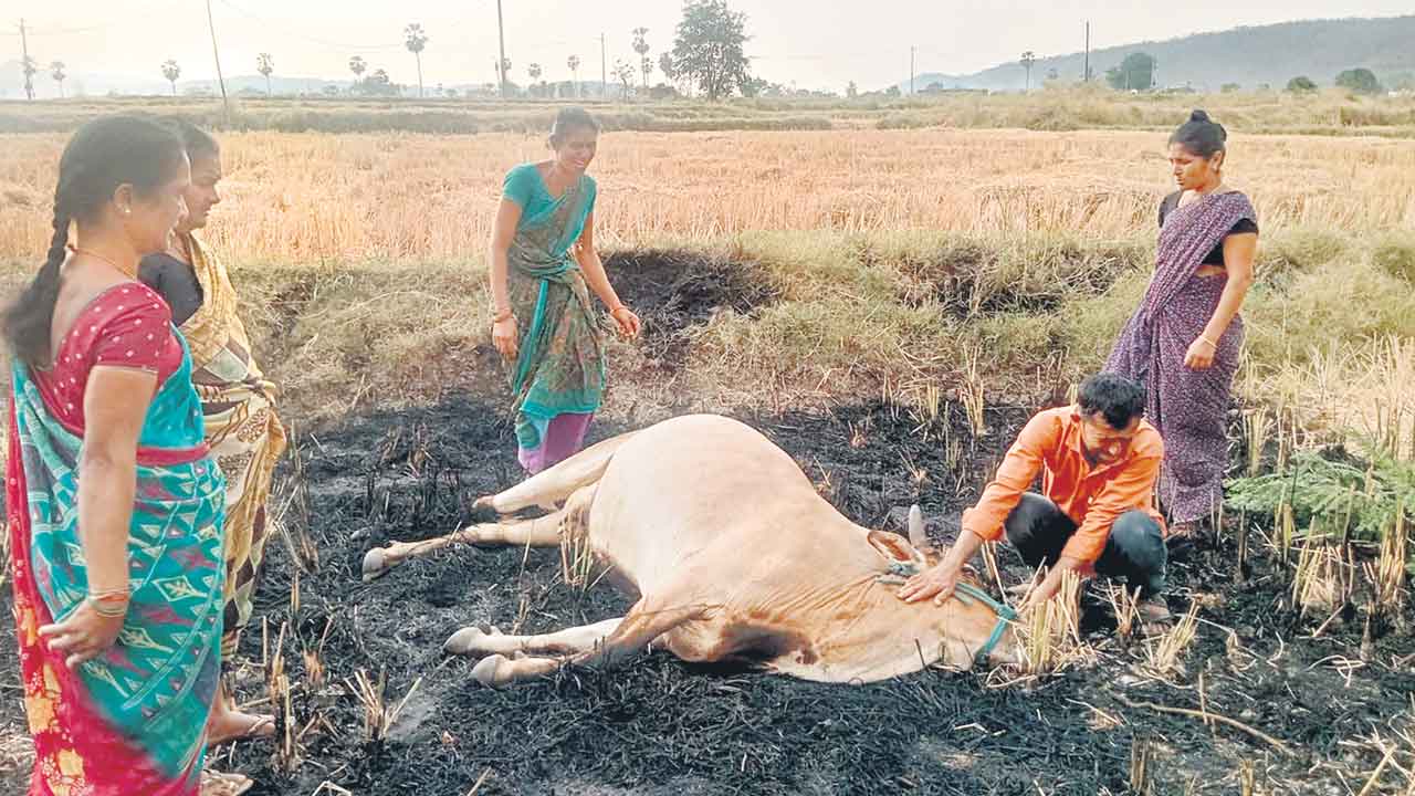 అయ్యో దేవుడా!