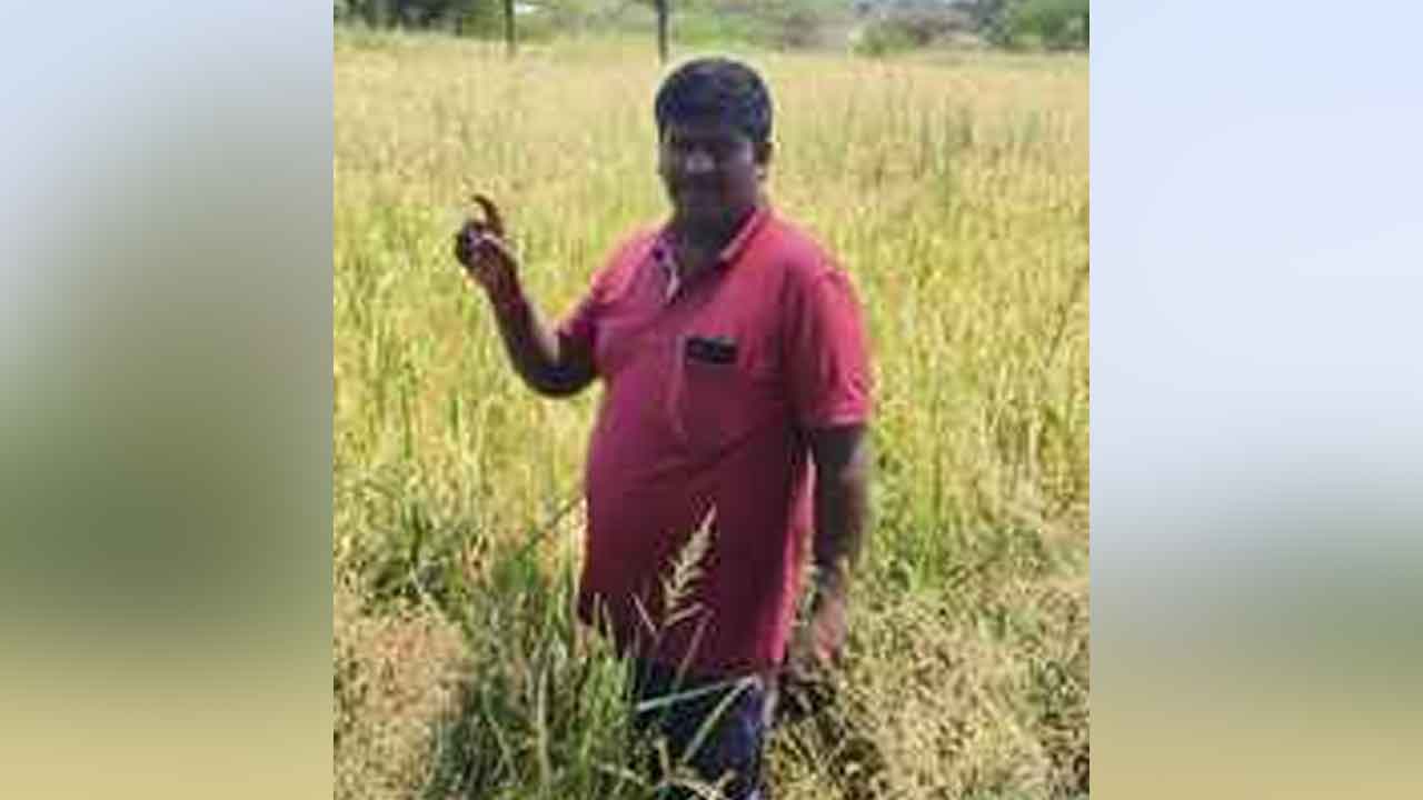 Hailstorms | వడగళ్లతో పంట నష్టపోయిన రైతులను ప్రభుత్వం ఆదుకోవాలి