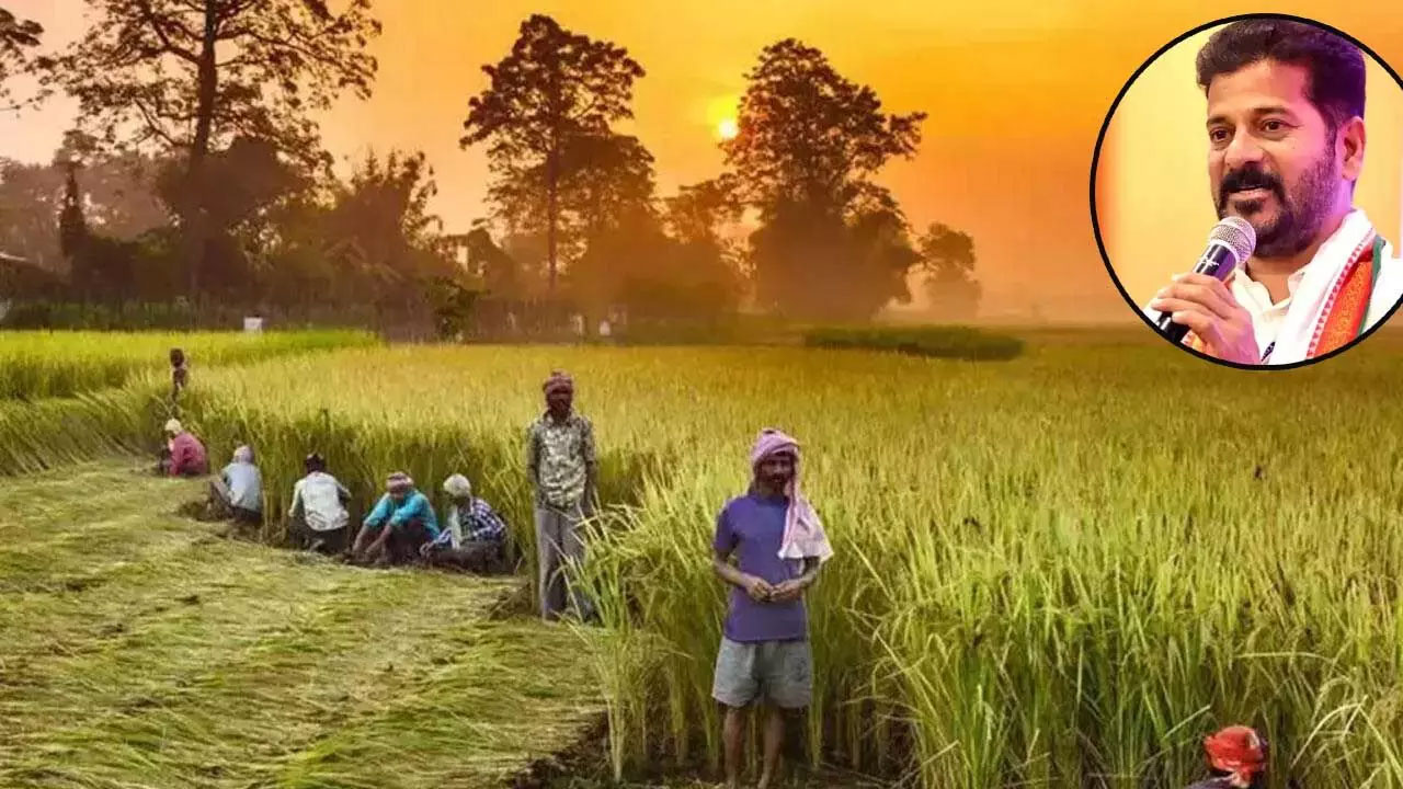 Crop Insurance | ఇన్సూరెన్స్‌ ప్రీమియం రైతులు చెల్లించాల్సిందే.. పంటల బీమాపై సర్కార్‌ రివర్స్‌ గేర్‌!
