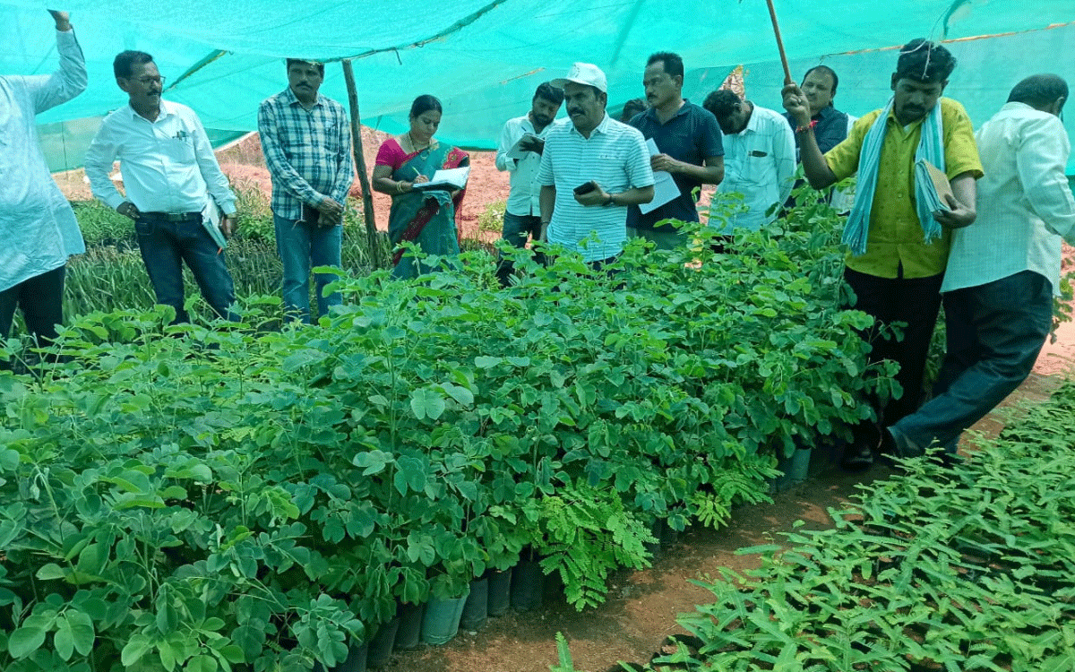 Kattangur : ప్రతి మొక్క బతికేలా చర్యలు తీసుకోవాలి : డీఆర్డీఓ శేఖర్‌రెడ్డి