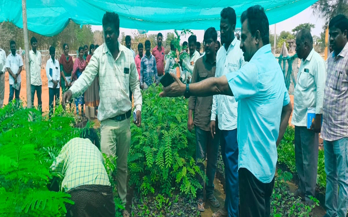 Chandur : నర్సరీల్లోని ప్రతి మొక్క బ్రత‌కాలి : డీఆర్‌డీఓ శేఖర్ రెడ్డి