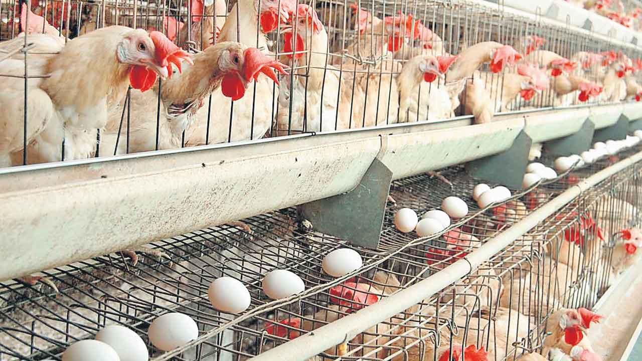 టెండర్లు తెరుస్తరా? రద్దు చేస్తరా?