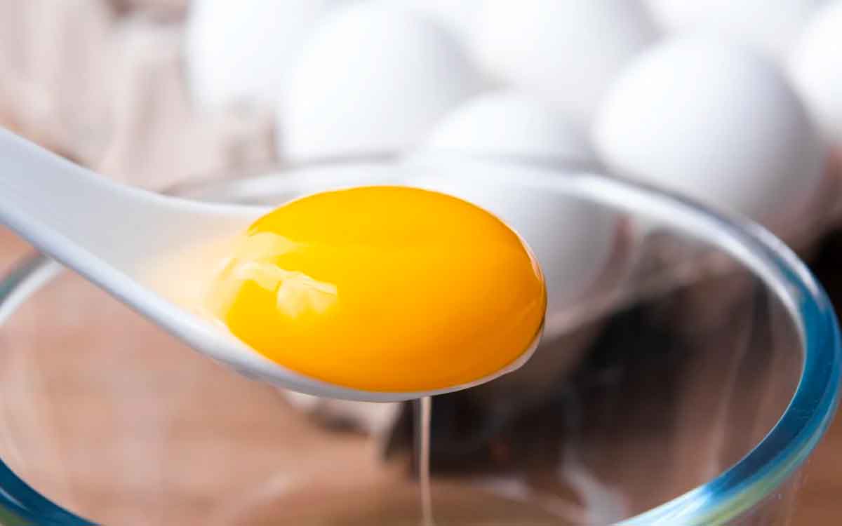 Egg Yolk | కోడిగుడ్డులో ఉండే పసుపు పచ్చ సొనను తినకుండా పక్కన పెడుతున్నారా..? ఇది తెలిస్తే ఇకపై అలా చేయరు..!