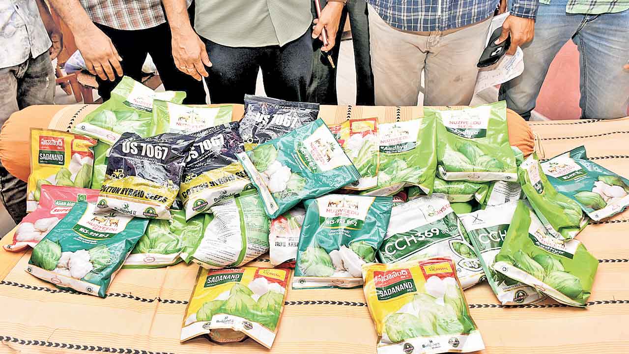 యథేచ్ఛగా కల్తీ విత్తనాలు