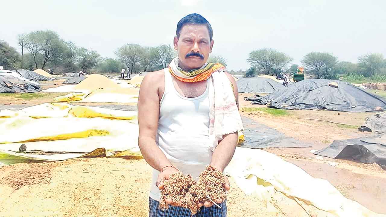 Farmer 2