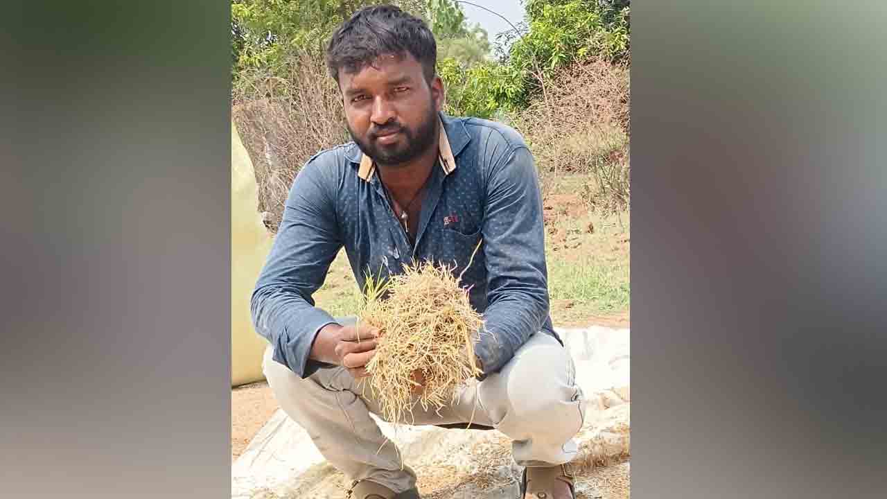 Farmer2