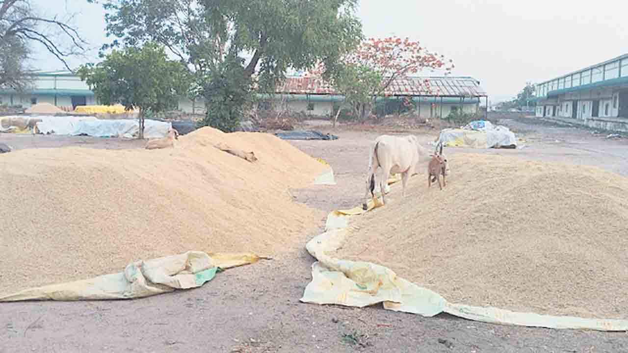 ధాన్యానికి రక్షణేది?