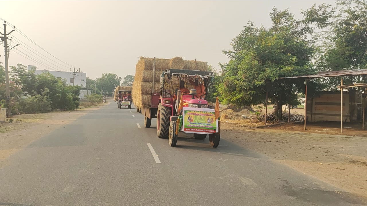 Vemulawada Kodelu | వేములవాడ కోడెలకు పశుగాసం వితరణ