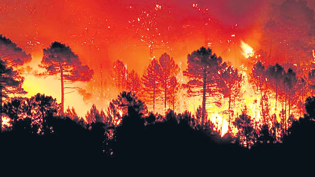 Wildfire | పెనుముప్పుగా కార్చిచ్చు.. ఐదు నెలల్లో 1.39 లక్షల ఎకరాల అడవి దగ్ధం