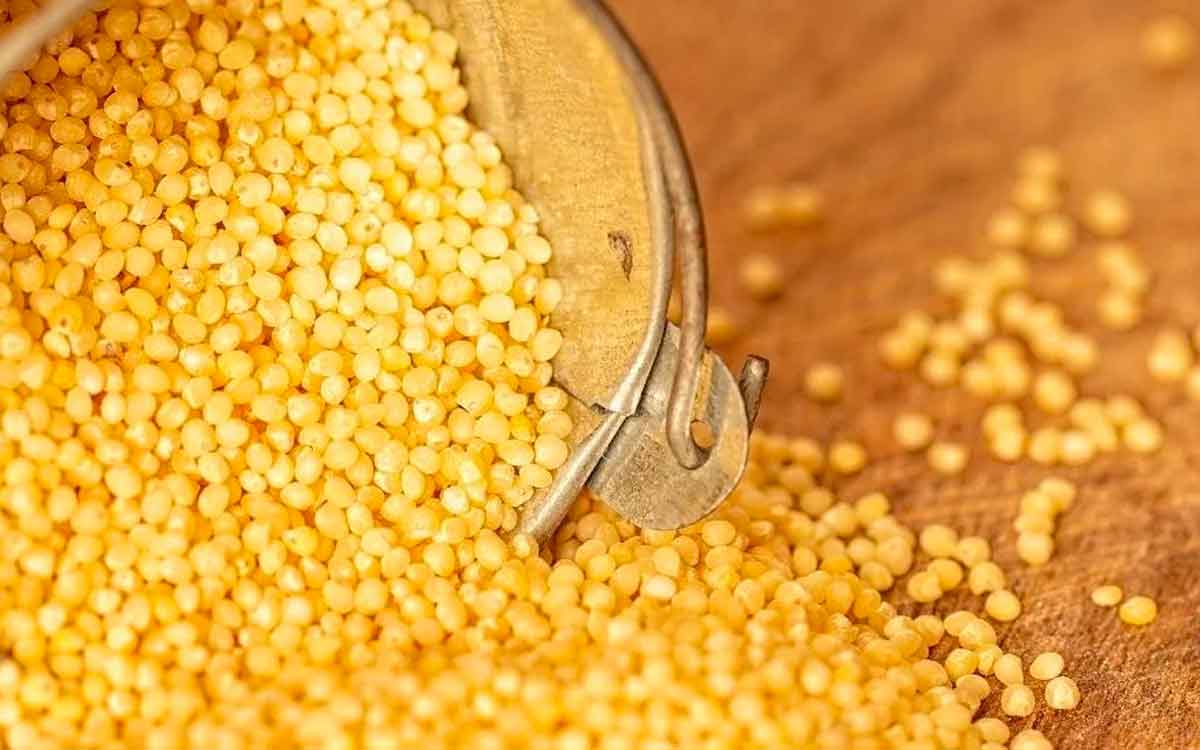 Foxtail Millets | రోజూ కొర్ర‌ల‌ను ఆహారంలో భాగం చేసుకుంటే క‌లిగే అద్భుత‌మైన ప్ర‌యోజ‌నాలు ఇవే..!