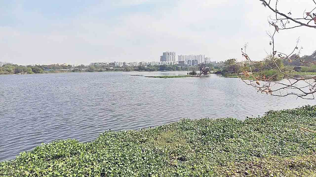 గోపి చెరువు రెగ్యులరైజ్‌!