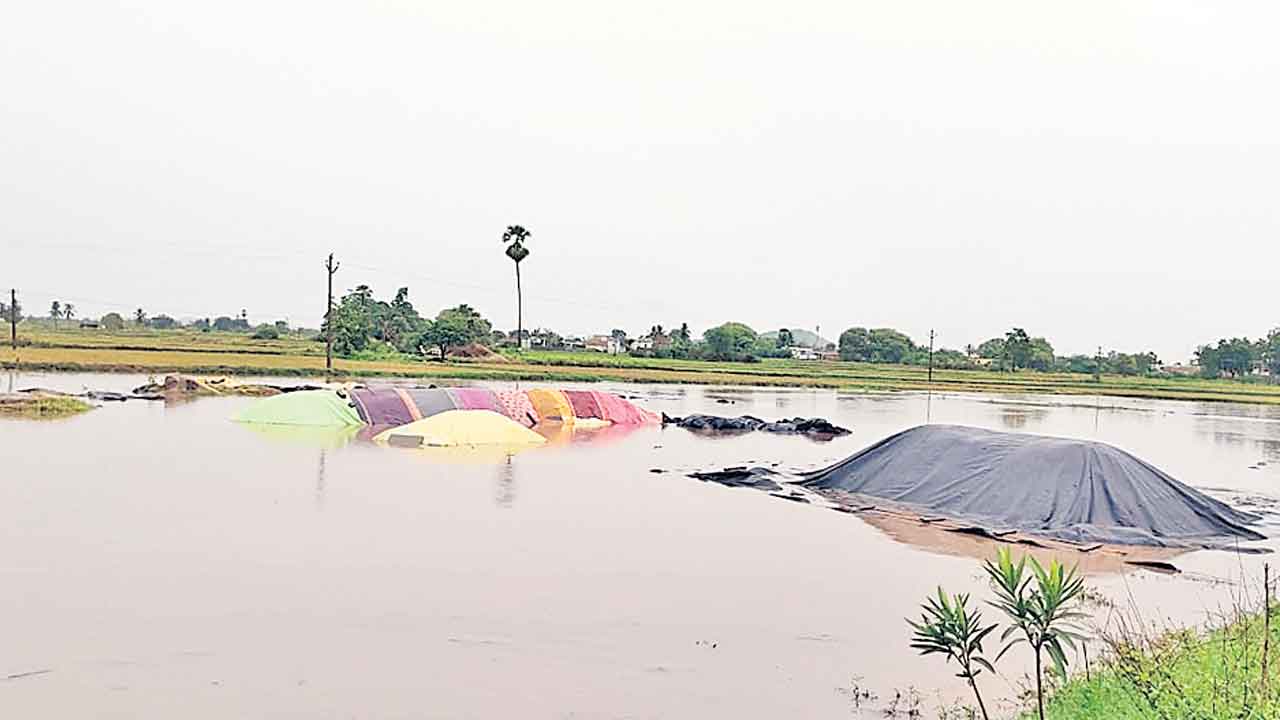 భారీ వర్షం.. తడిసిన ధాన్యం