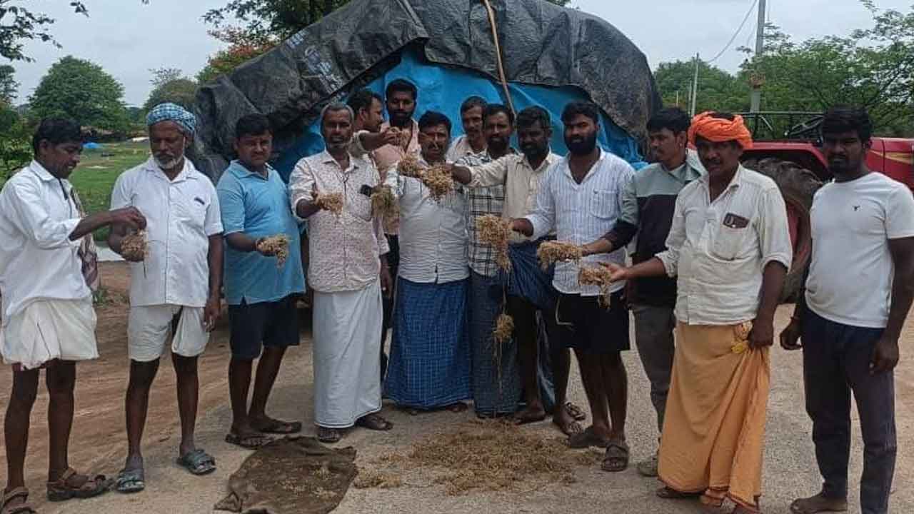 Farmers protest | మొలకెత్తిన ధాన్యంతో రోడ్డెక్కిన రైతులు.. స్పందించని అధికారులు