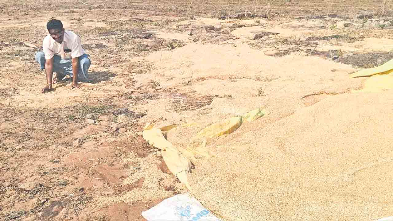 వర్షార్పణం