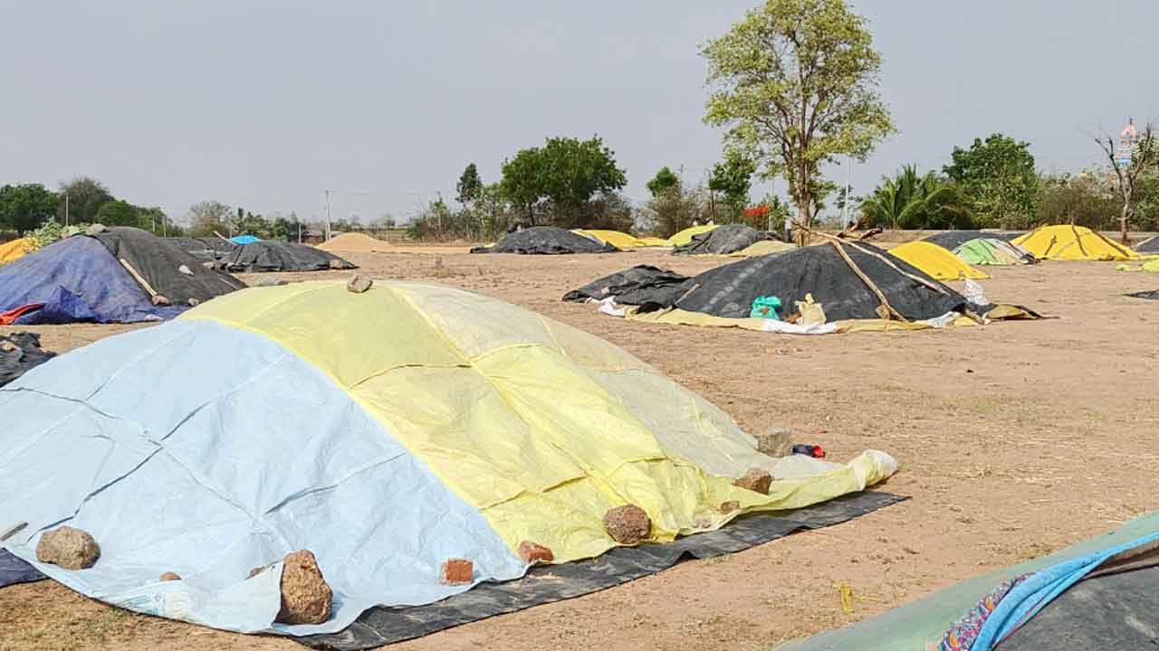Grain purchasing  | ప్రారంభం కాని ధాన్యం కొనుగోలు ప్రక్రియ.. వరి కుప్పల వద్ద రైతుల పడిగాపులు