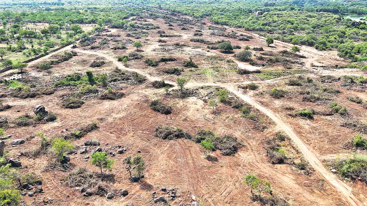 Supreme Court | హెచ్‌సీయూ విధ్వంసంపై నేడు సుప్రీంకోర్టు విచారణ