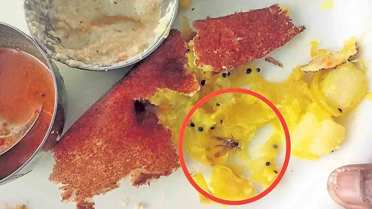 దోశలో బొద్దింక!