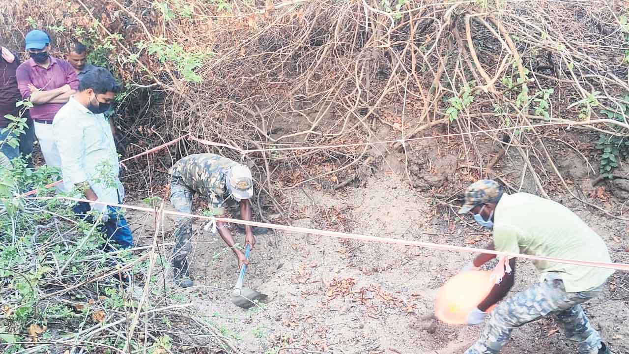 పులిని హతమార్చిన కేసులో విచారణ