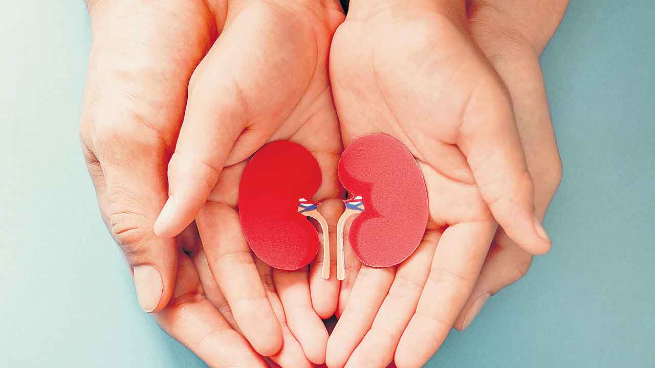 మళ్ళీ జన్మనిచ్చారు