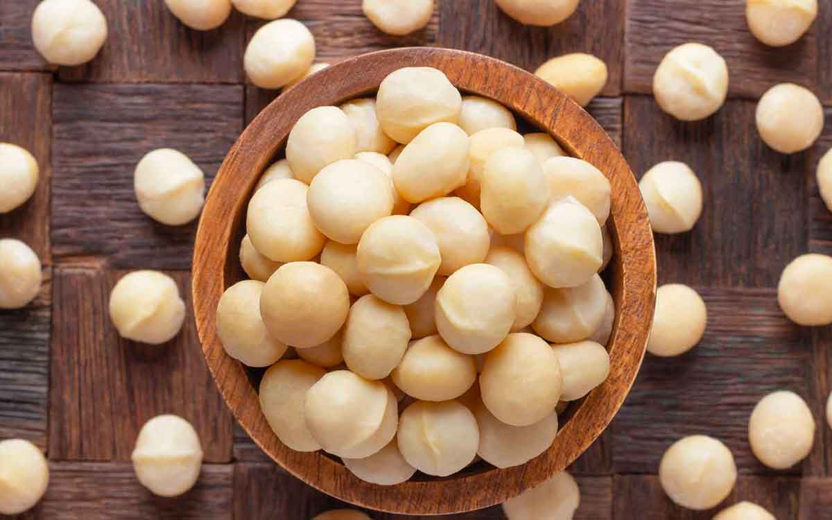 Macadamia Nuts | ఈ న‌ట్స్‌ను ఎప్పుడైనా చూశారా..? అనేక అద్భుతాలు చేస్తాయి.. విడిచిపెట్ట‌కుండా తినండి..!