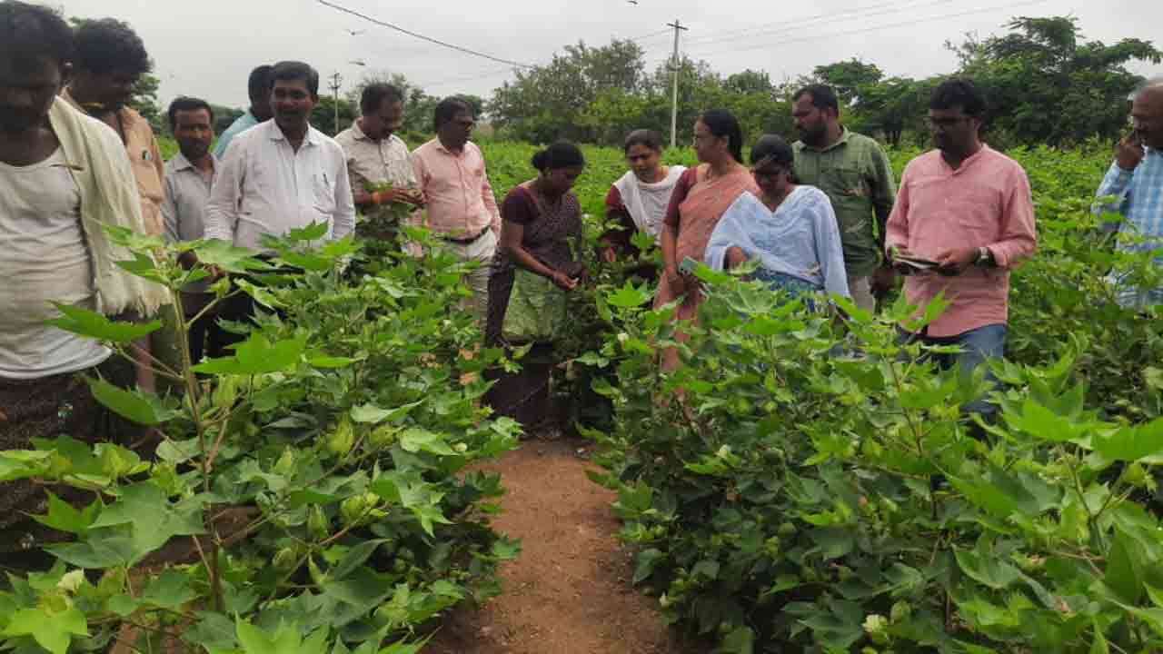 రైతు నెత్తిన సీడ్‌ కత్తి
