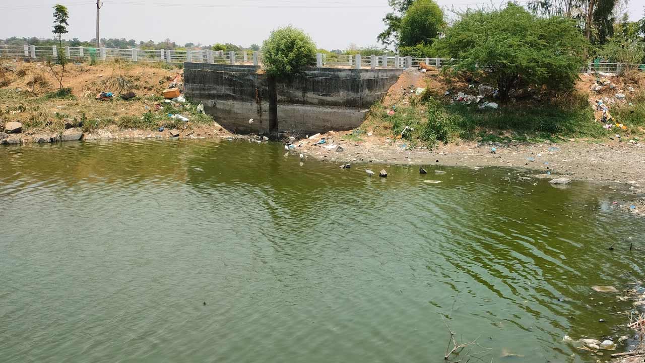 రంగుమారి కంపు కొడుతున్న మల్లె చెరువు.. దుర్వాసనతో భరించలేక పట్టణవాసుల అవస్థలు