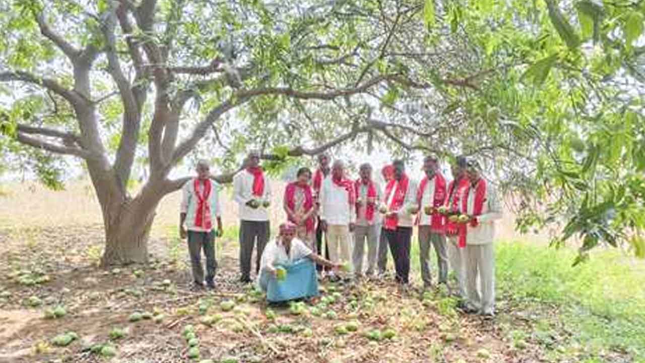 Damaged crops | దెబ్బతిన్న పంటలకు నష్టపరిహారం చెల్లించాలి : నాగెల్లి లక్ష్మారెడ్డి