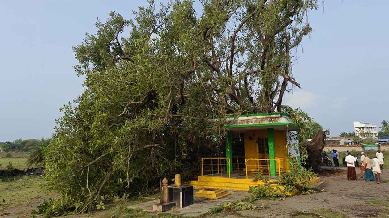 Bayyaram | బయ్యారంలో వర్ష బీభత్సం.. తడిసిన ధాన్యం, తీవ్రంగా నష్టపోయిన రైతులు