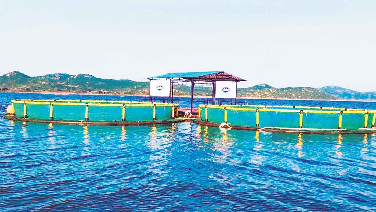 అటకెక్కిన ఆక్వాహబ్‌!