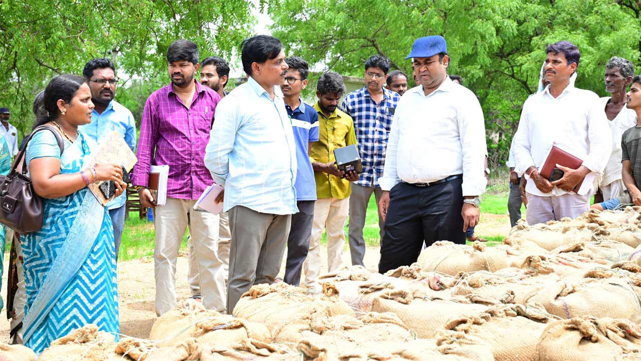 ధాన్యం కొనుగోలు త్వరగా పూర్తి చేయాలి.. కలెక్టర్‌ ఆదేశాలు