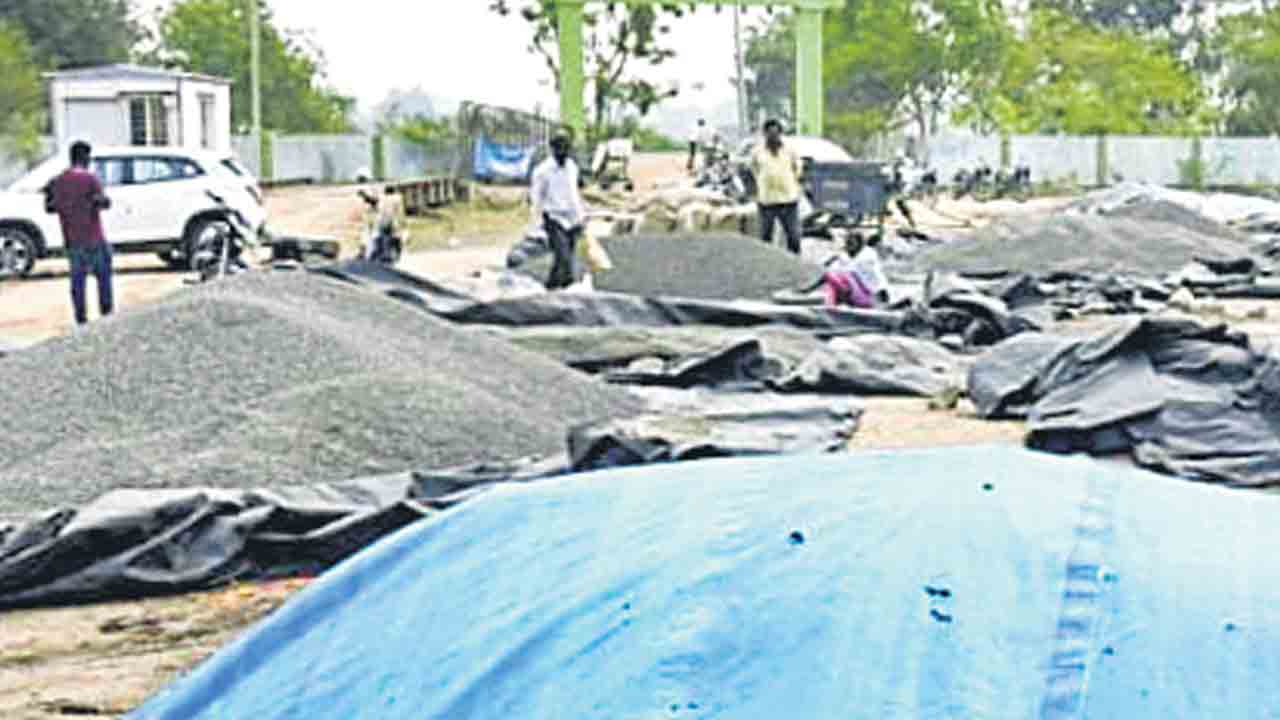 సన్‌ప్లవర్‌ డబ్బులేవి!