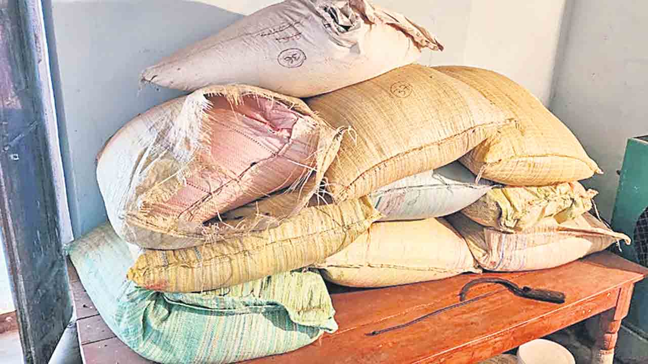 ఏపీ, కర్ణాటక, మహారాష్ట్ర నుంచి నకిలీ విత్తనాలు దిగుమతి