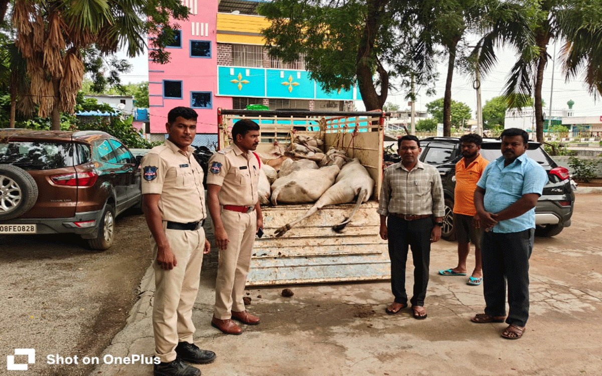 Munagala : మునగాలలో గోవుల అక్రమ తరలింపు పట్టివేత