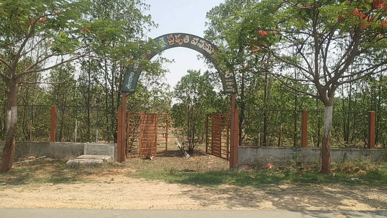 Palle Prakruthi Vanam | పల్లె ప్రకృతి వనంలో ఆహ్లాదం ఎక్కడా…? ఎండిపోతున్న చెట్లు..!