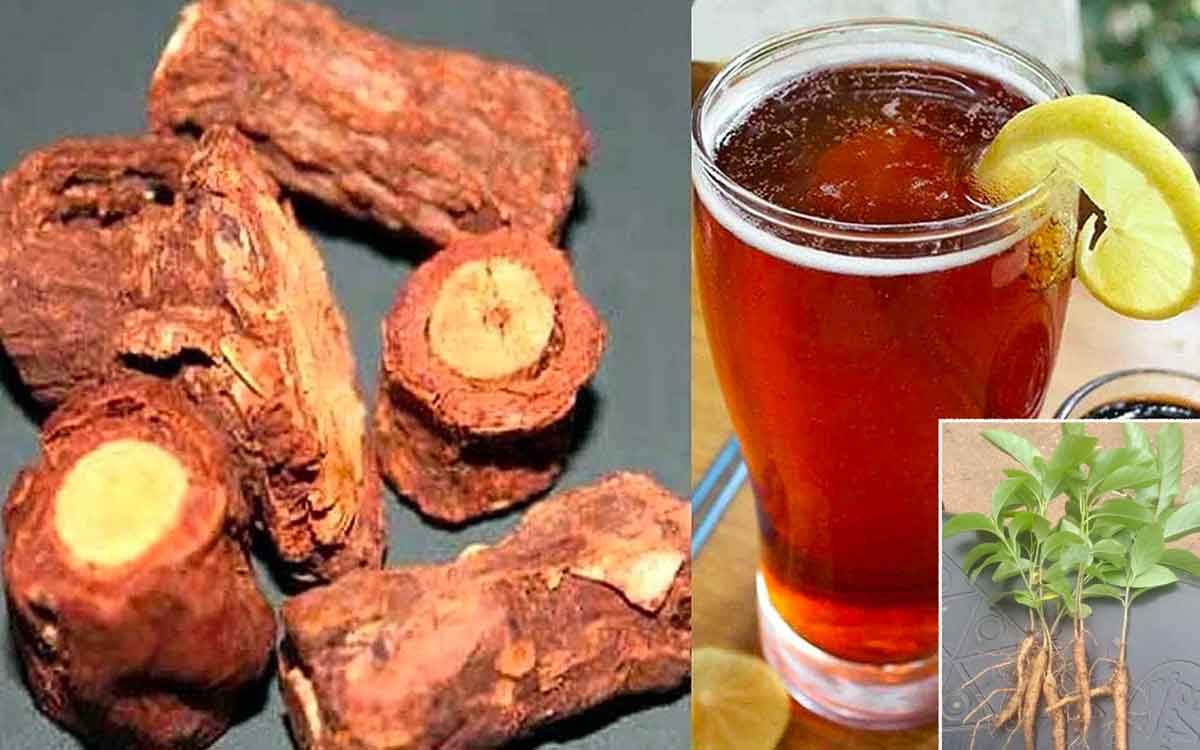 Nannari Sharbat | ర‌హ‌దారుల ప‌క్క‌న ల‌భించే న‌న్నారి ష‌ర్బ‌త్‌.. ఇంట్లోనే ఇలా త‌యారు చేసుకోవ‌చ్చు.. దీంతో క‌లిగే లాభాలు ఎన్నో..!