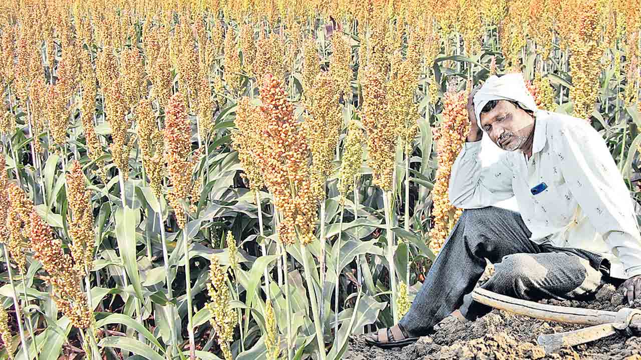 జొన్నల బకాయి రూ.100 కోట్లు