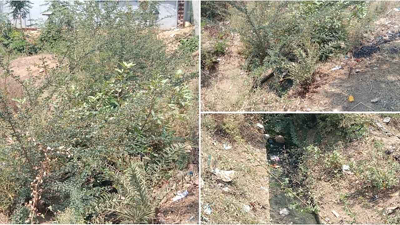 Sewerage problems | అపరిశుభ్రంగా మురుగు కాలువలు.. ఇబ్బంది పడుతున్న జనం