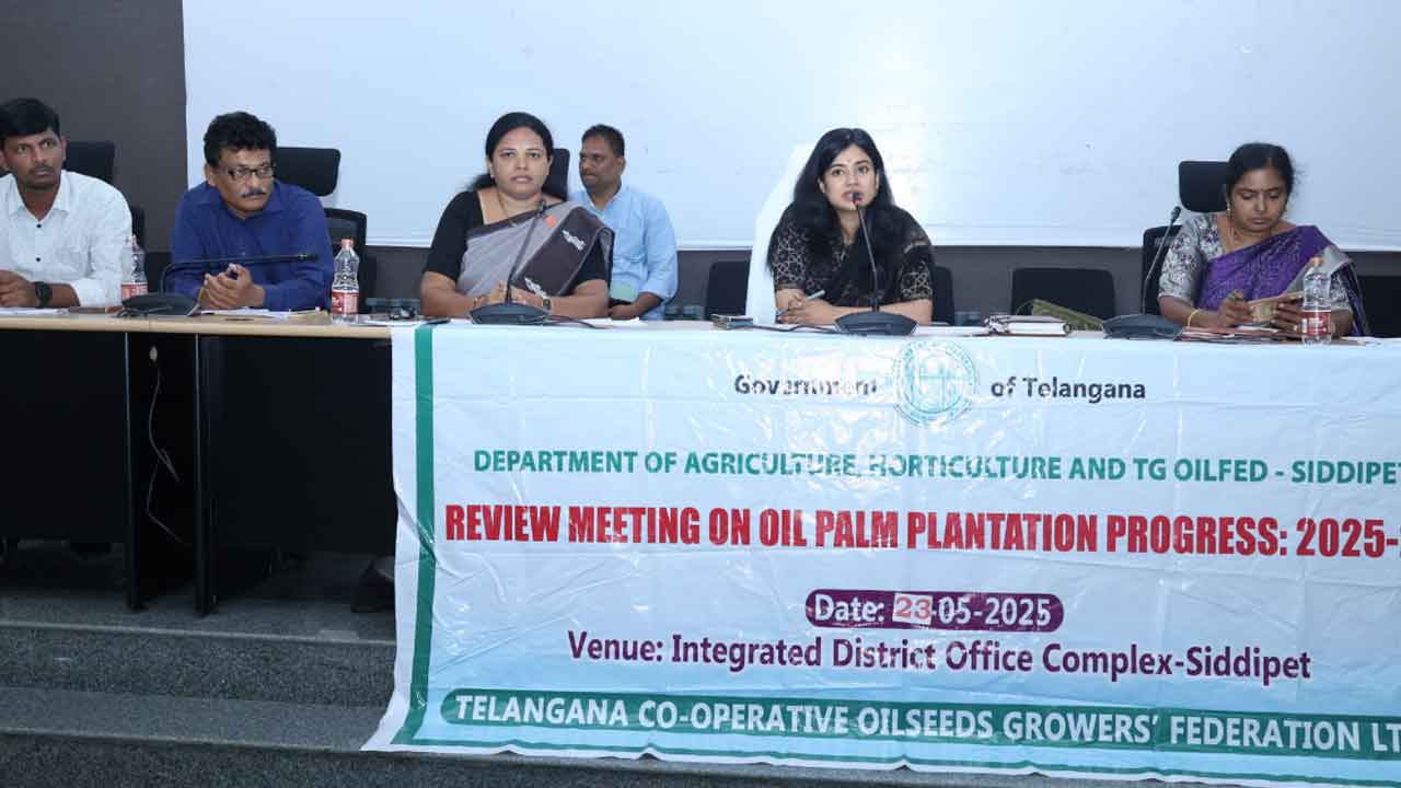 Oil Palm | ఆయిల్‌పామ్‌ సాగు లక్ష్యం పూర్తి చేయాలి : గరిమా అగర్వాల్‌