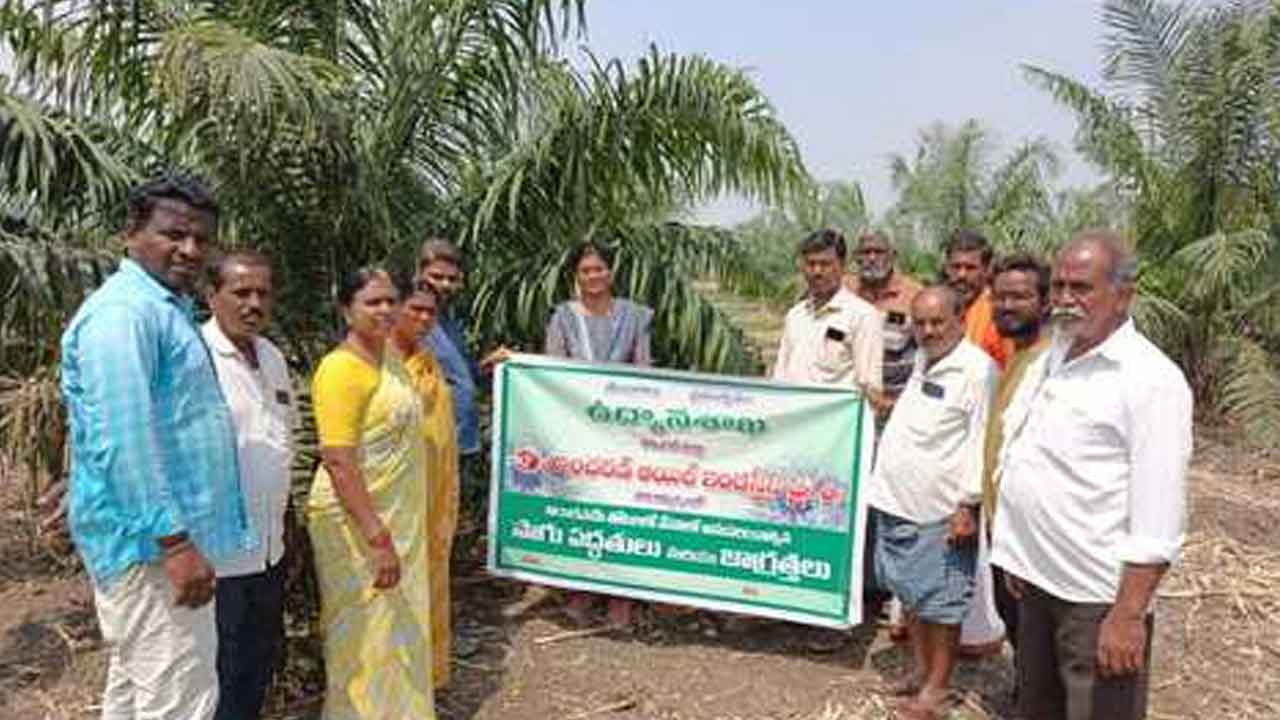 Oil palm | ఆయిల్ ఫామ్ సాగుతో అధిక లాభాలు : పల్లగొండ జ్యోతి
